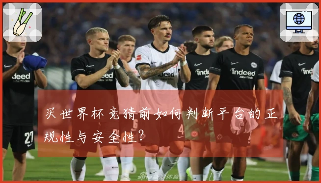 买世界杯竞猜前如何判断平台的正规性与安全性？