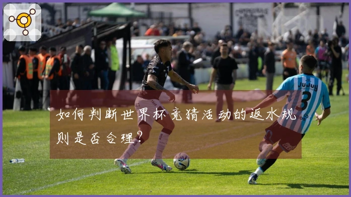 如何判断世界杯竞猜活动的返水规则是否合理？